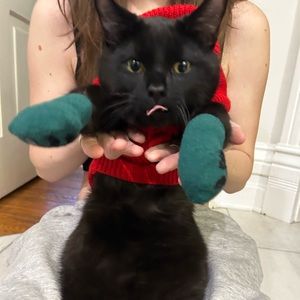 Meet your Posher, Hunty!